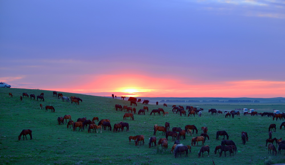 ��ӭ����   ������