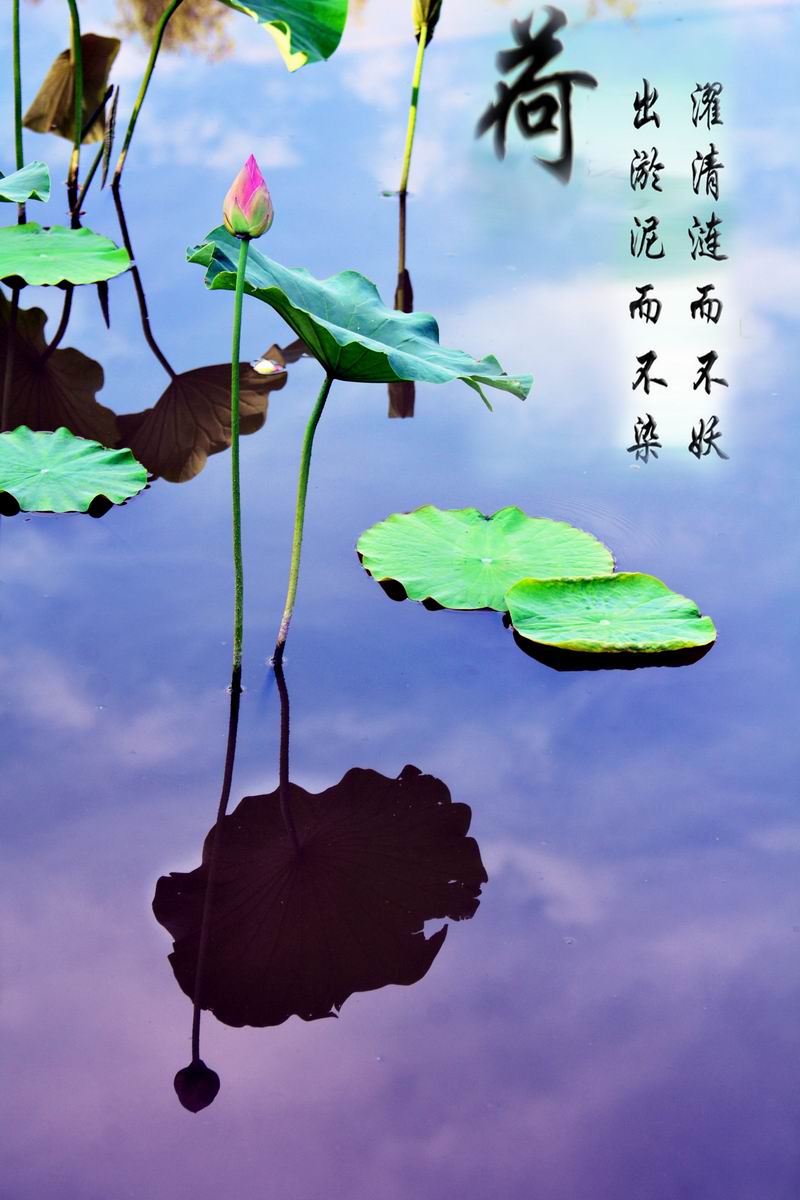 ��ӹ�԰a 132abb.jpg