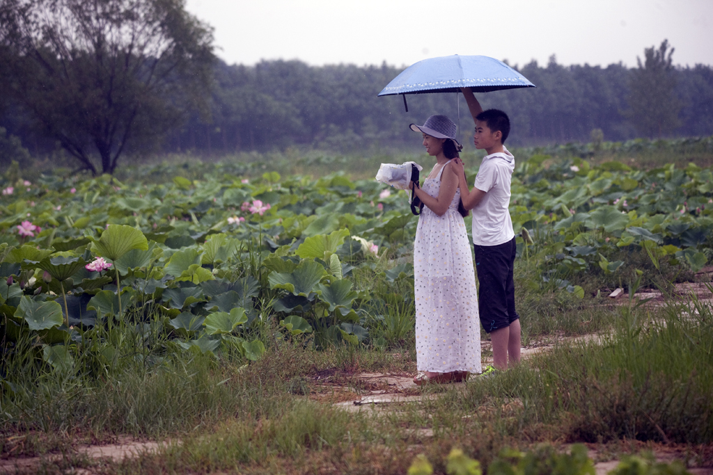 ��ԫ�ط�������һʪ�أ���ʪ��Ϊ������ֲ��Ķ�ɻ�����̬���ˣ��������ʣ���������ǿ�ǰȥһ�ԡ�