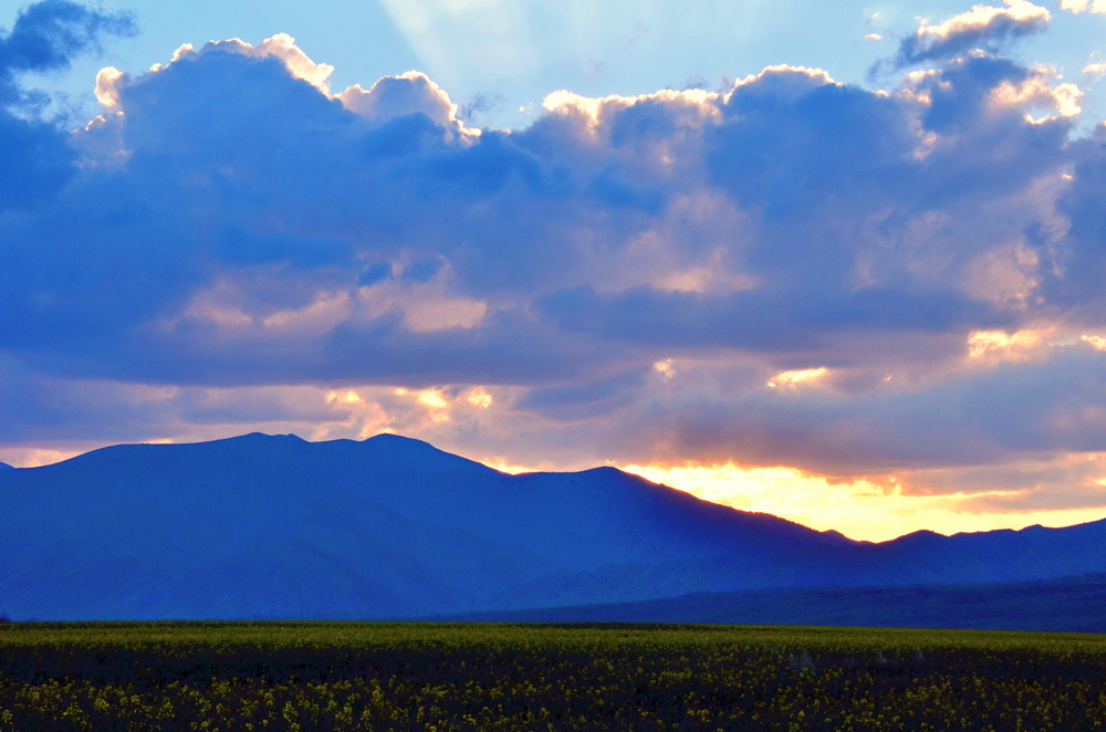 �ճ�    ������