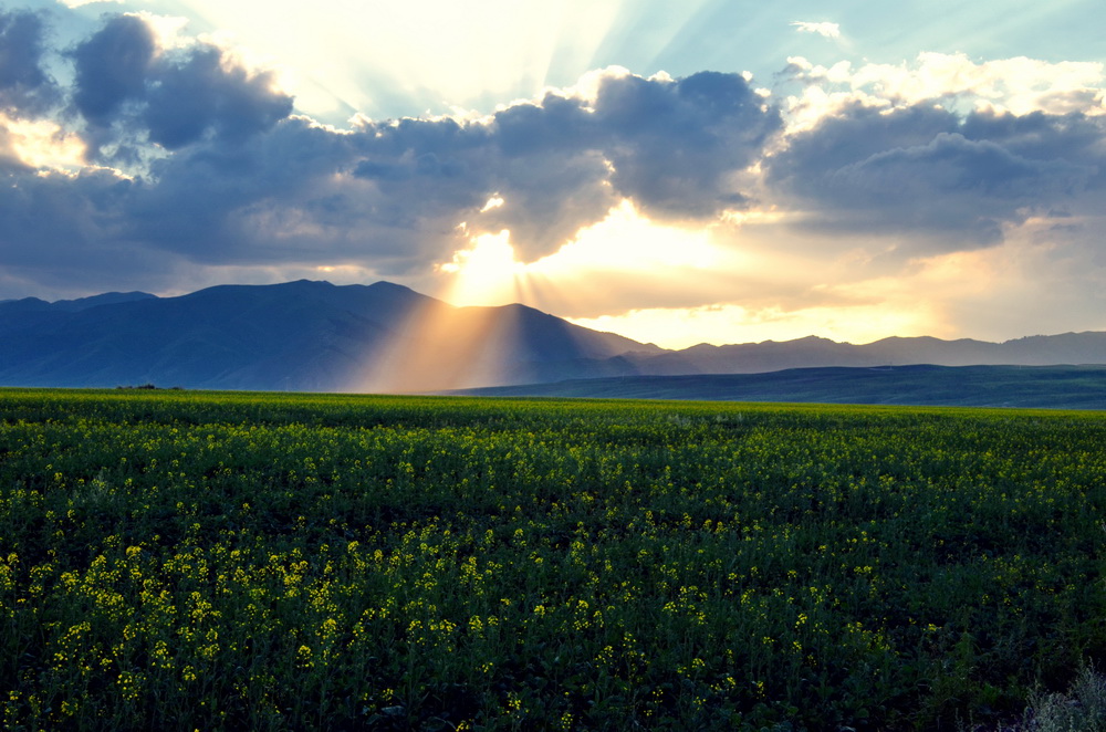 �������Ͳ˻�  ����