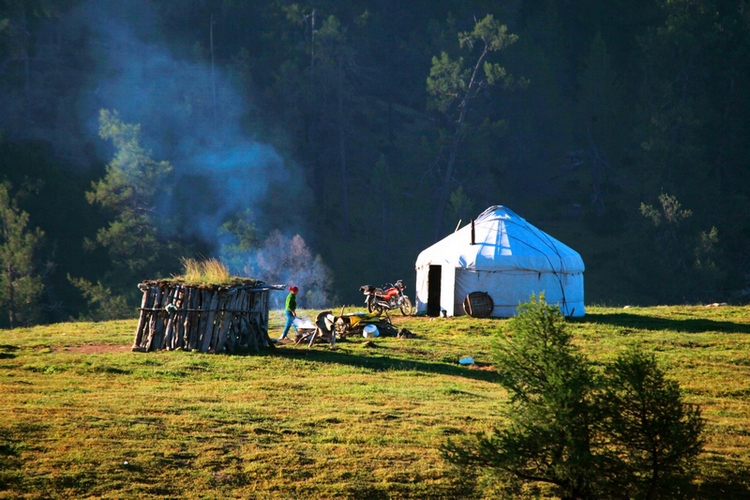 ��������