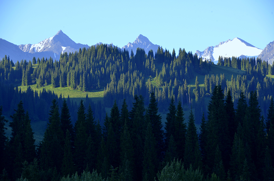 ���ﻭ�ȣ���ɽ����