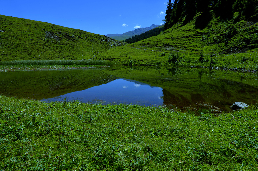 ʥ�������