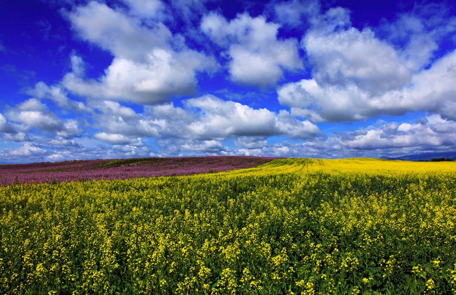 �Ͳ˻�������