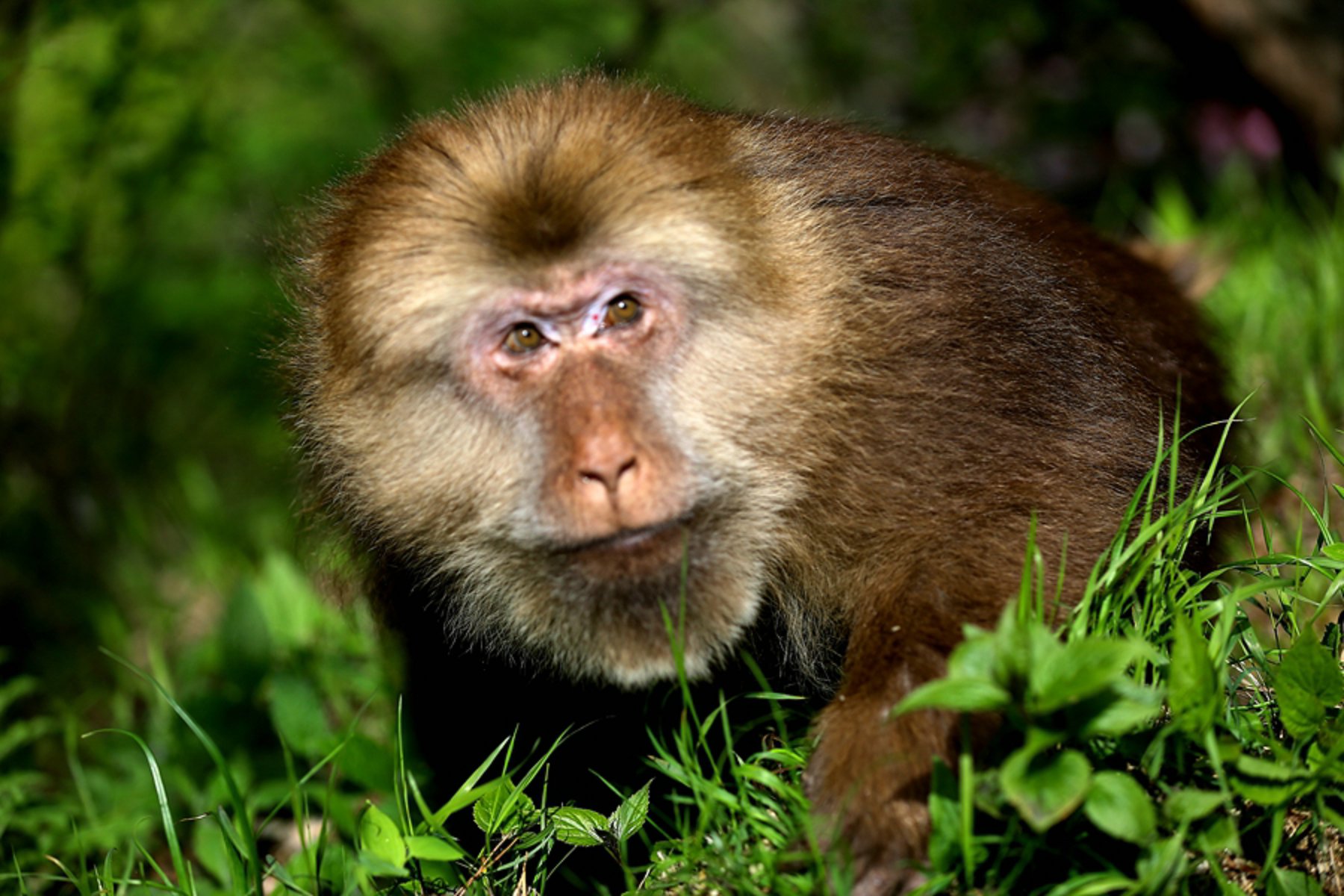 ���� 3472.jpg