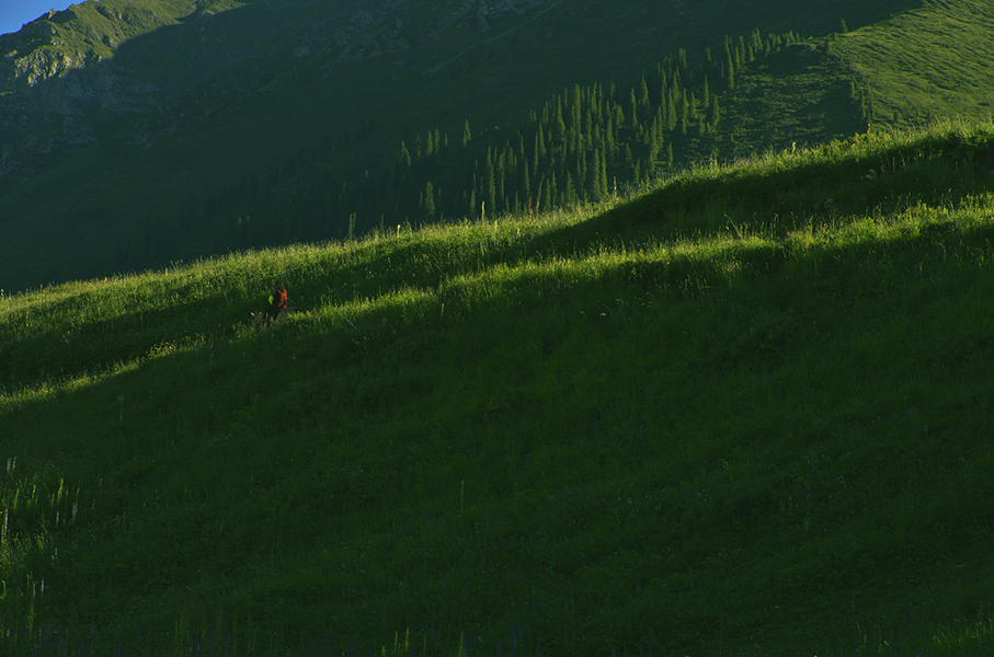 ׷���Ӱ��������Ů