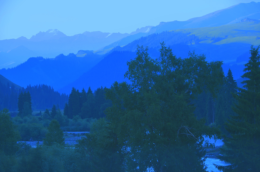 �λ��Ʋ���