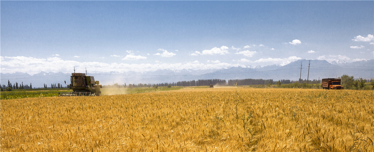 ������ջ� (2).jpg