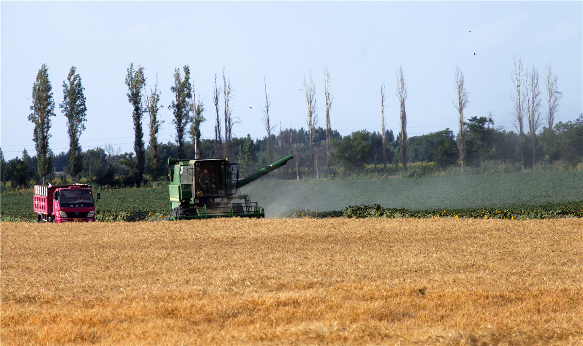 ������ջ� (5).jpg