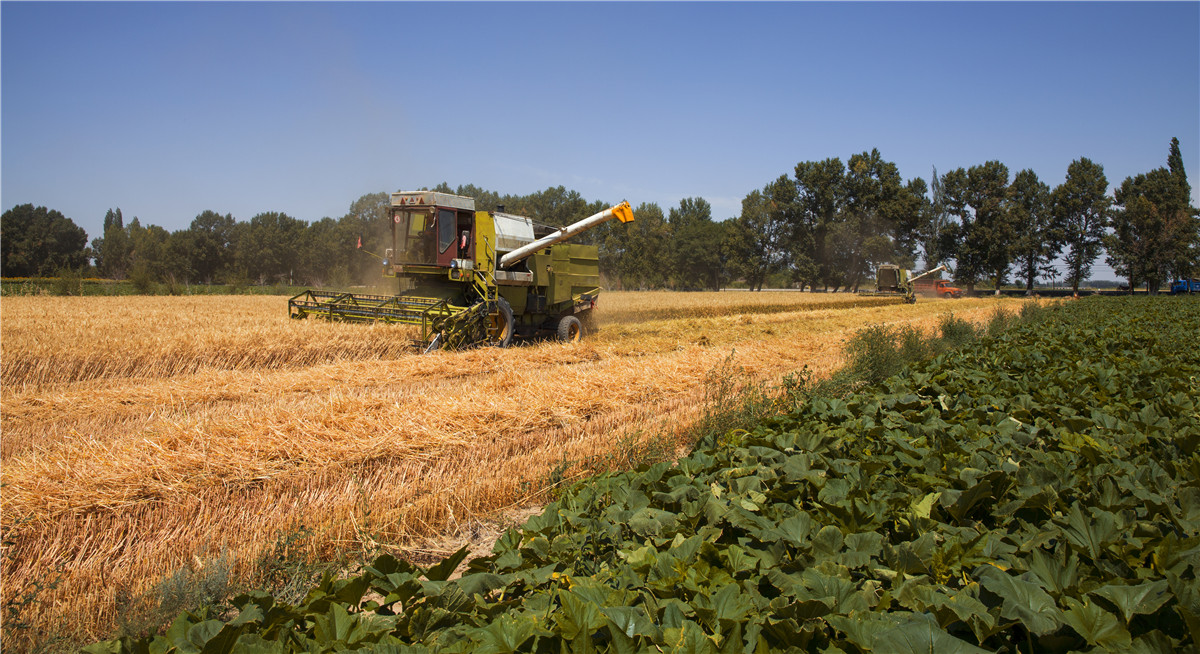 ������ջ� (8).jpg