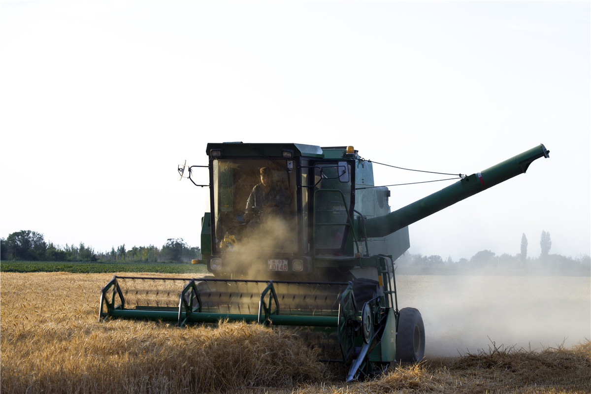 ������ջ� (1).jpg