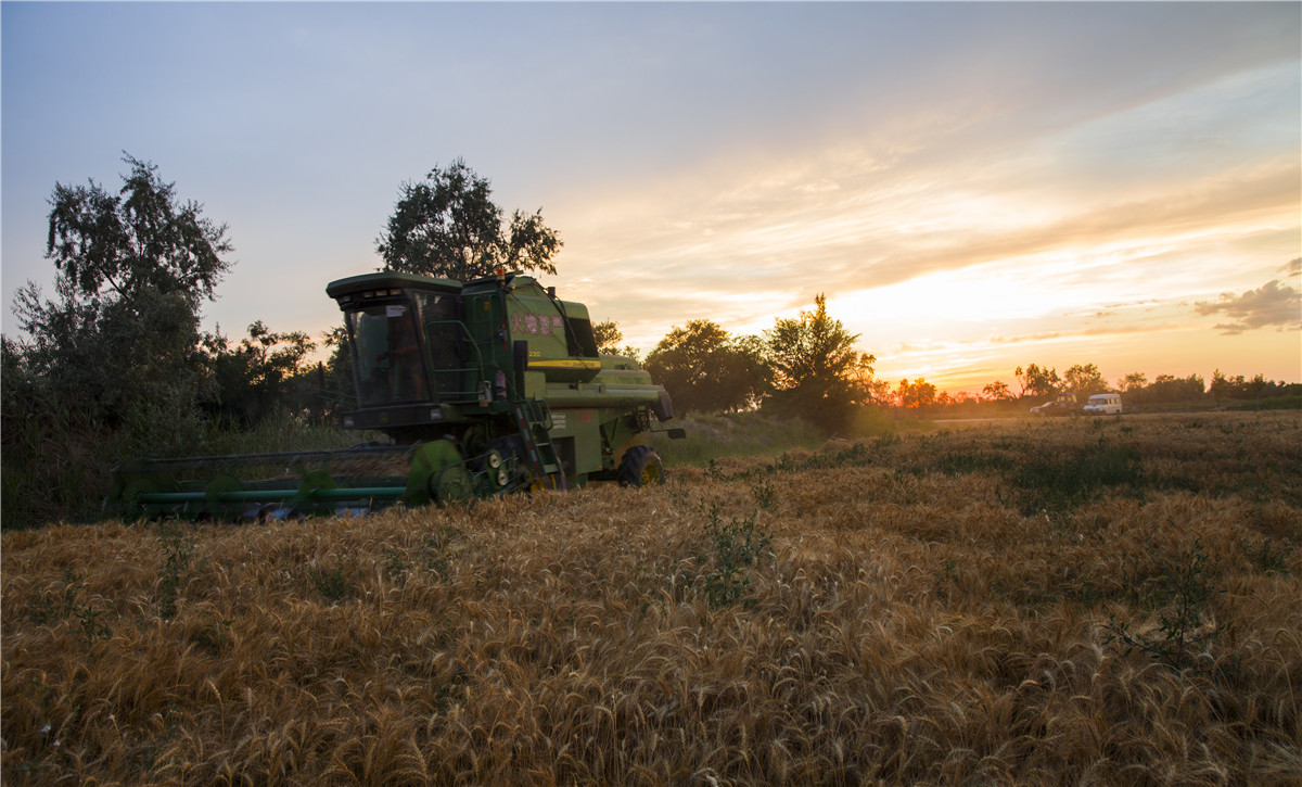 ������ջ� (3).jpg