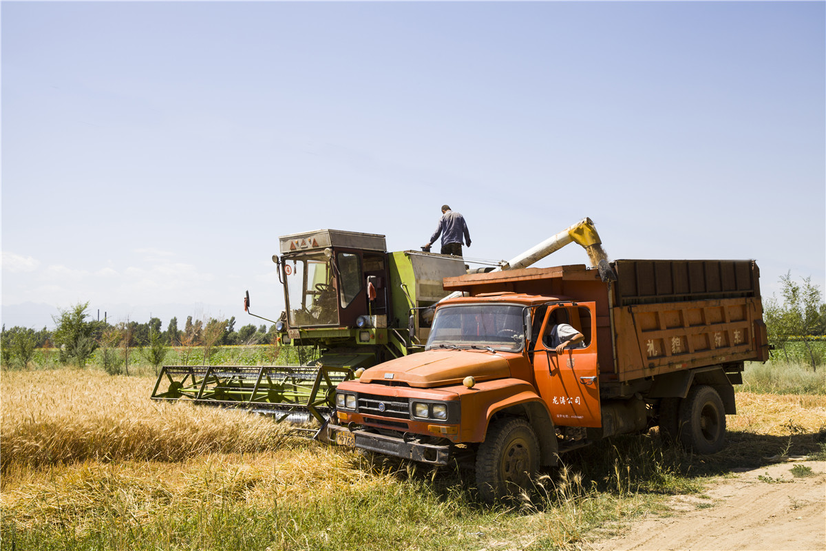 ������ջ� (6).jpg