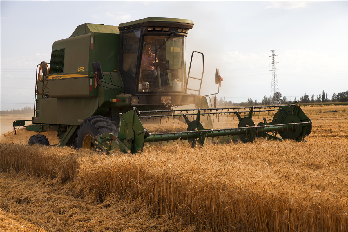 ������ջ� (7).jpg