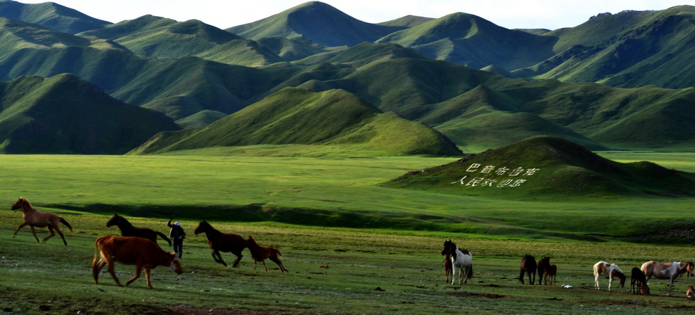 ����   ������