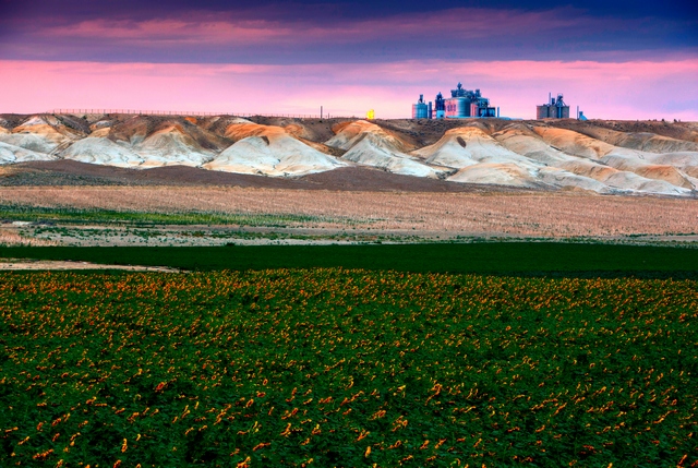 �������ܶ��ֵ���ɫ��Ʒ