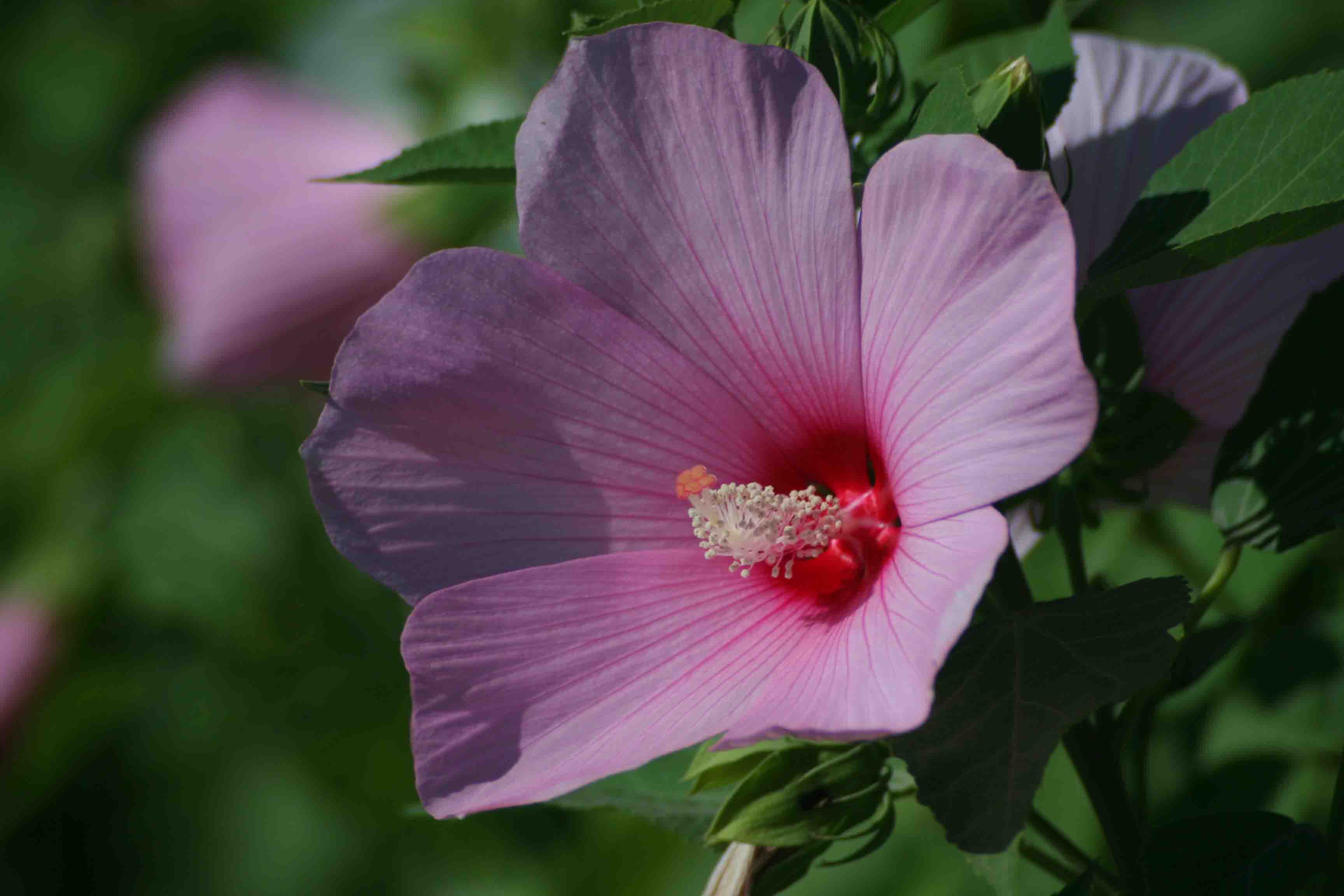 2014.7.7�� 003 (98).jpg