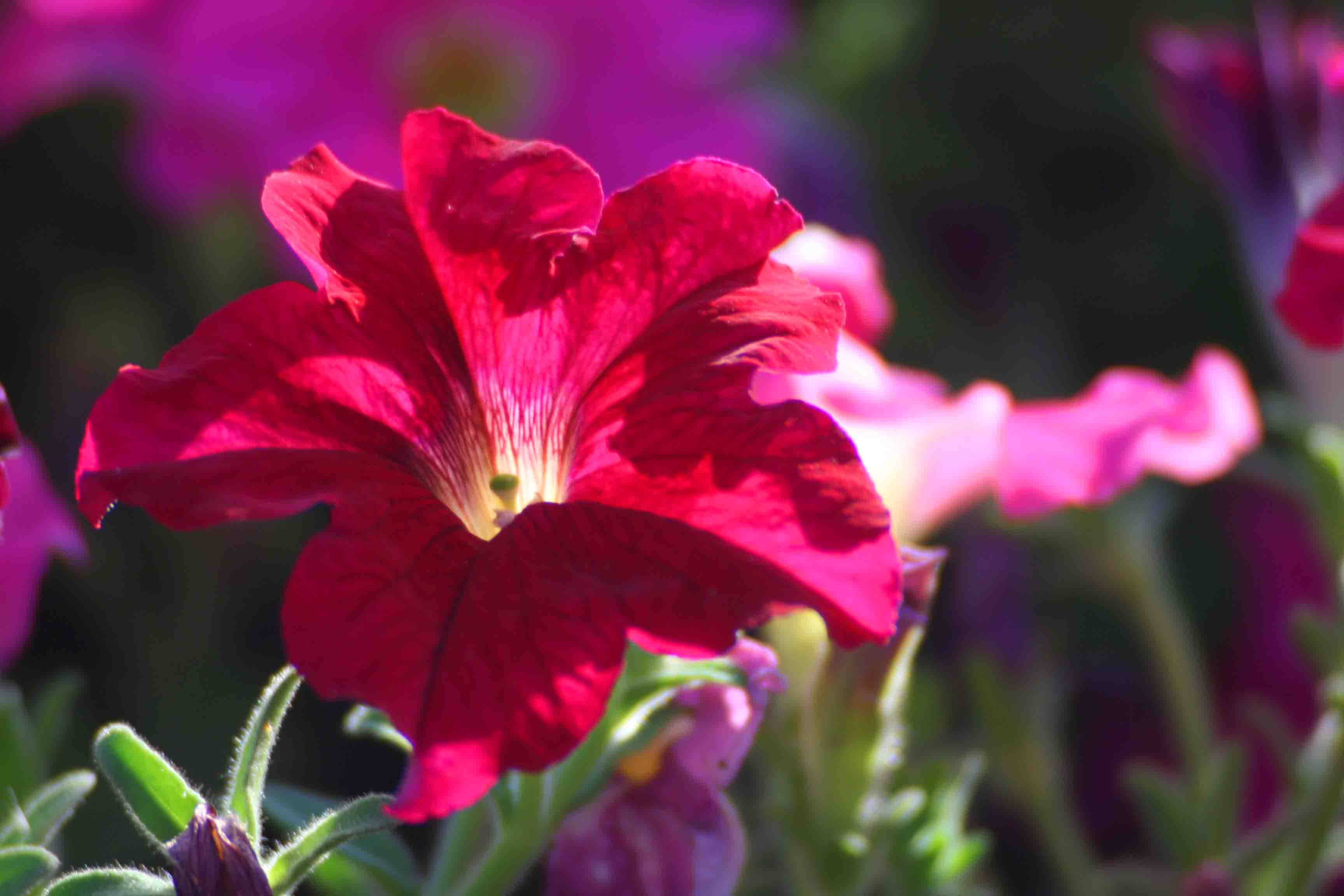 2014.7.7�� 003 (122).jpg