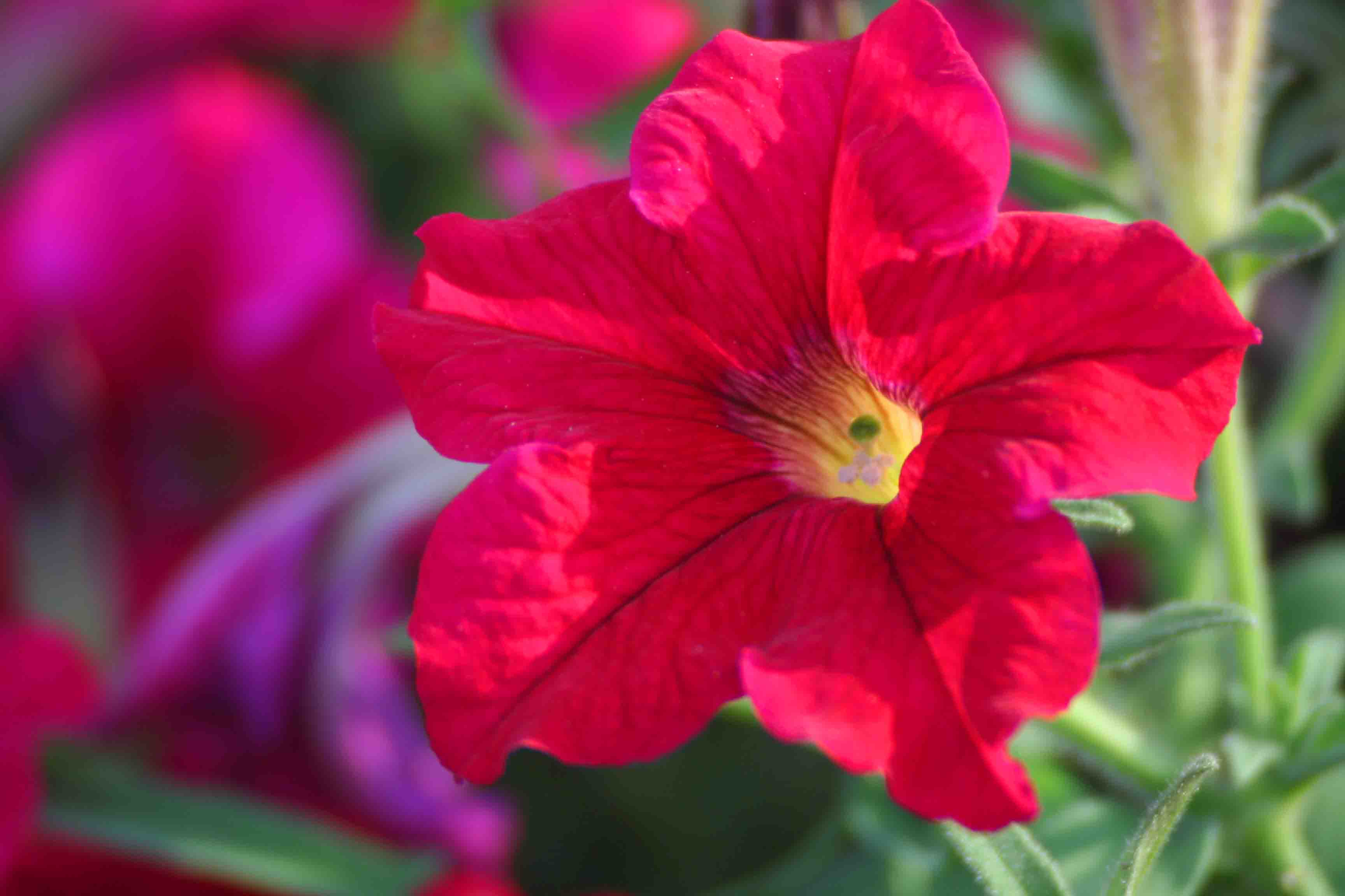 2014.7.7�� 003 (136).jpg