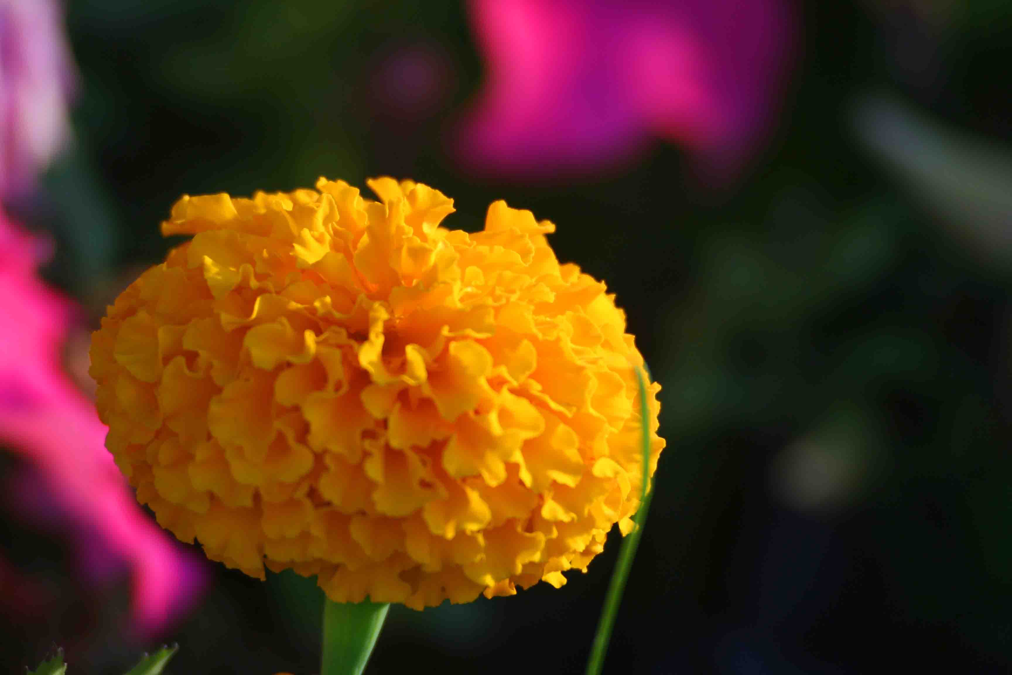 2014.7.7�� 003 (142).jpg