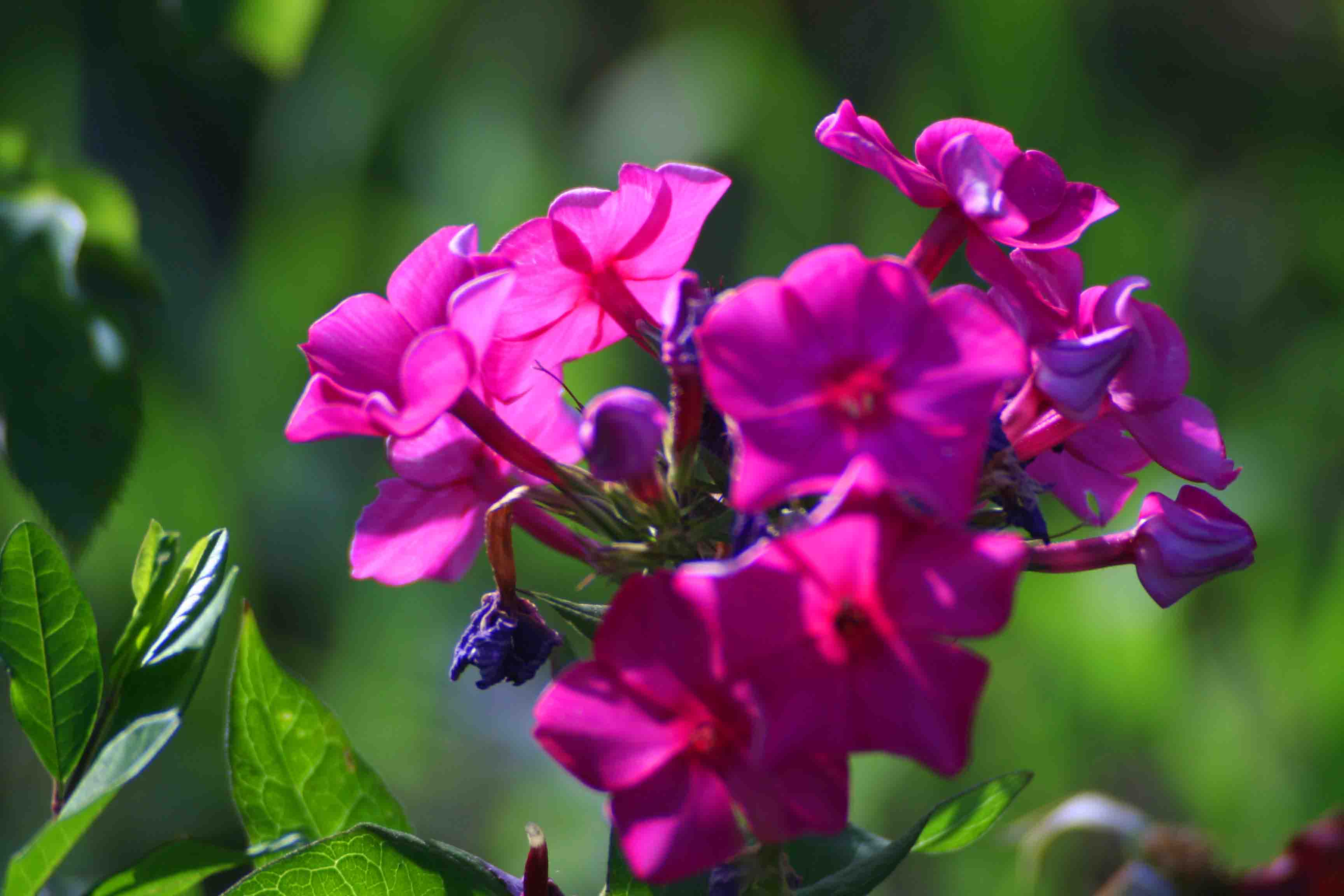 2014.7.7�� 003 (166).jpg