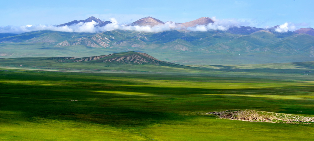 ѩɽ��ԭ   ������