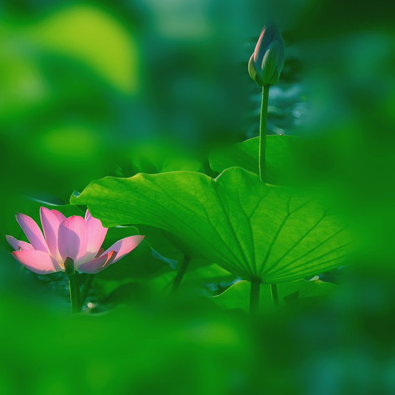 2014��7��24�պɻ�a 0011.jpg