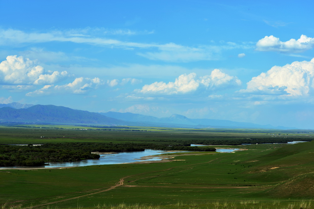 �Ʋ���    ������