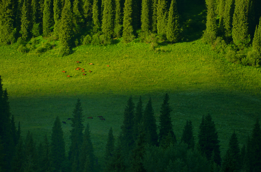 �ں������͵�Ĭ��