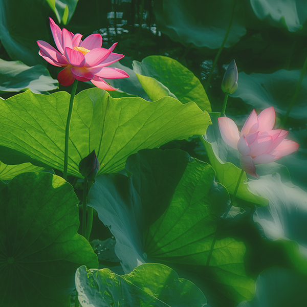 2014��7��24�պɻ� a02212.jpg