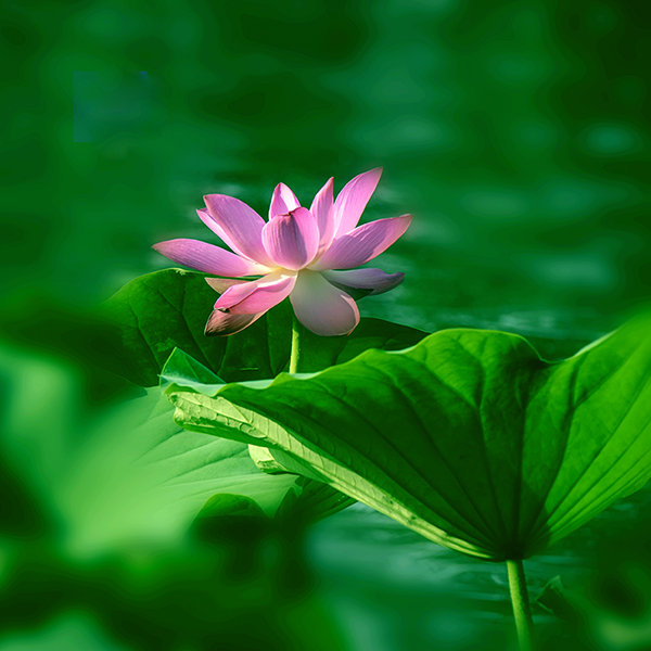 2014��7��24�պɻ�a 03112.jpg