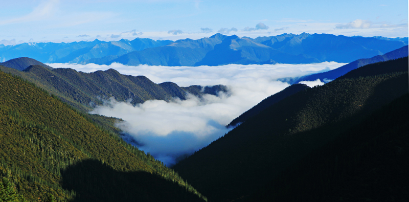 ������ɽ