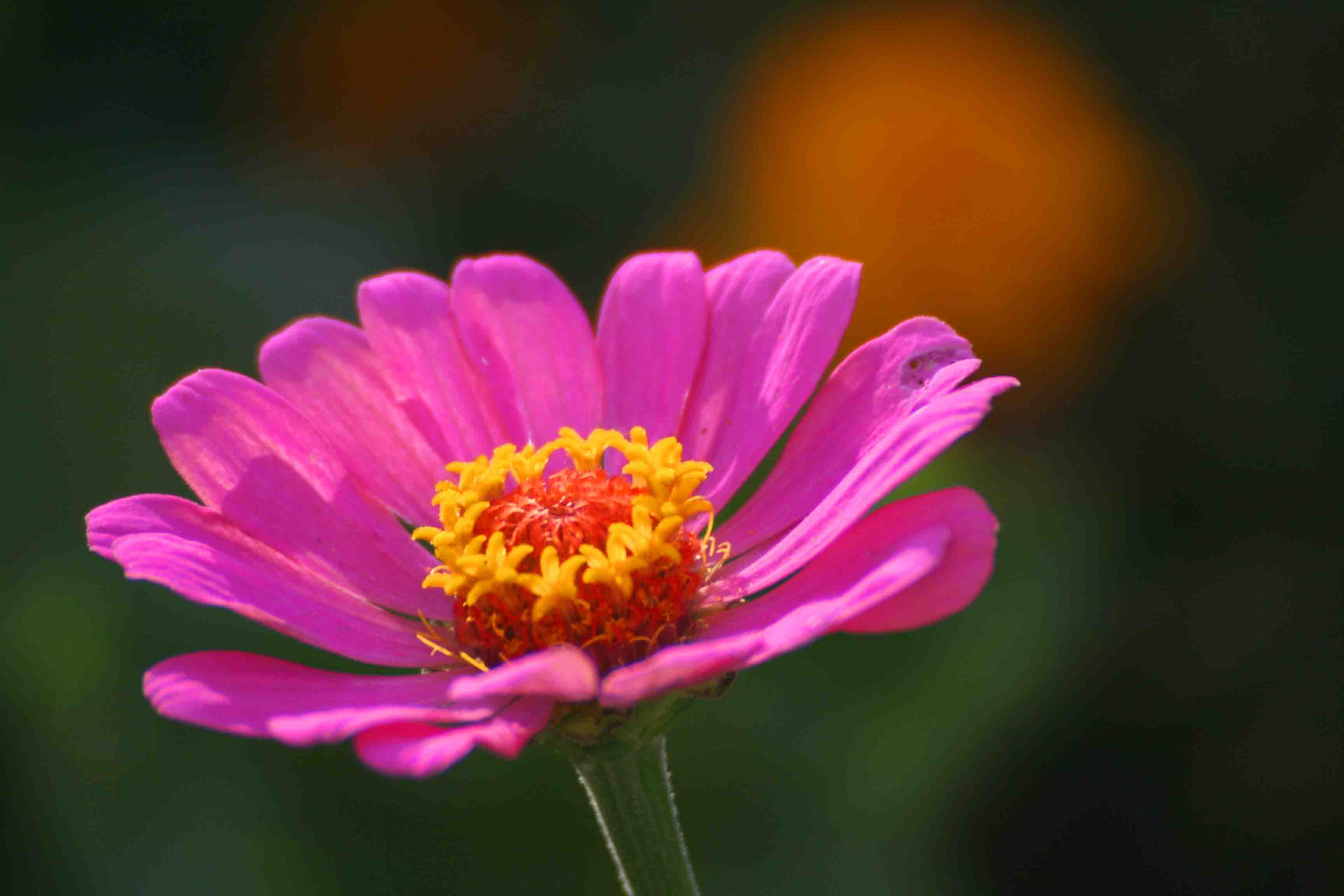 2014.7.7�� 003 (43).jpg