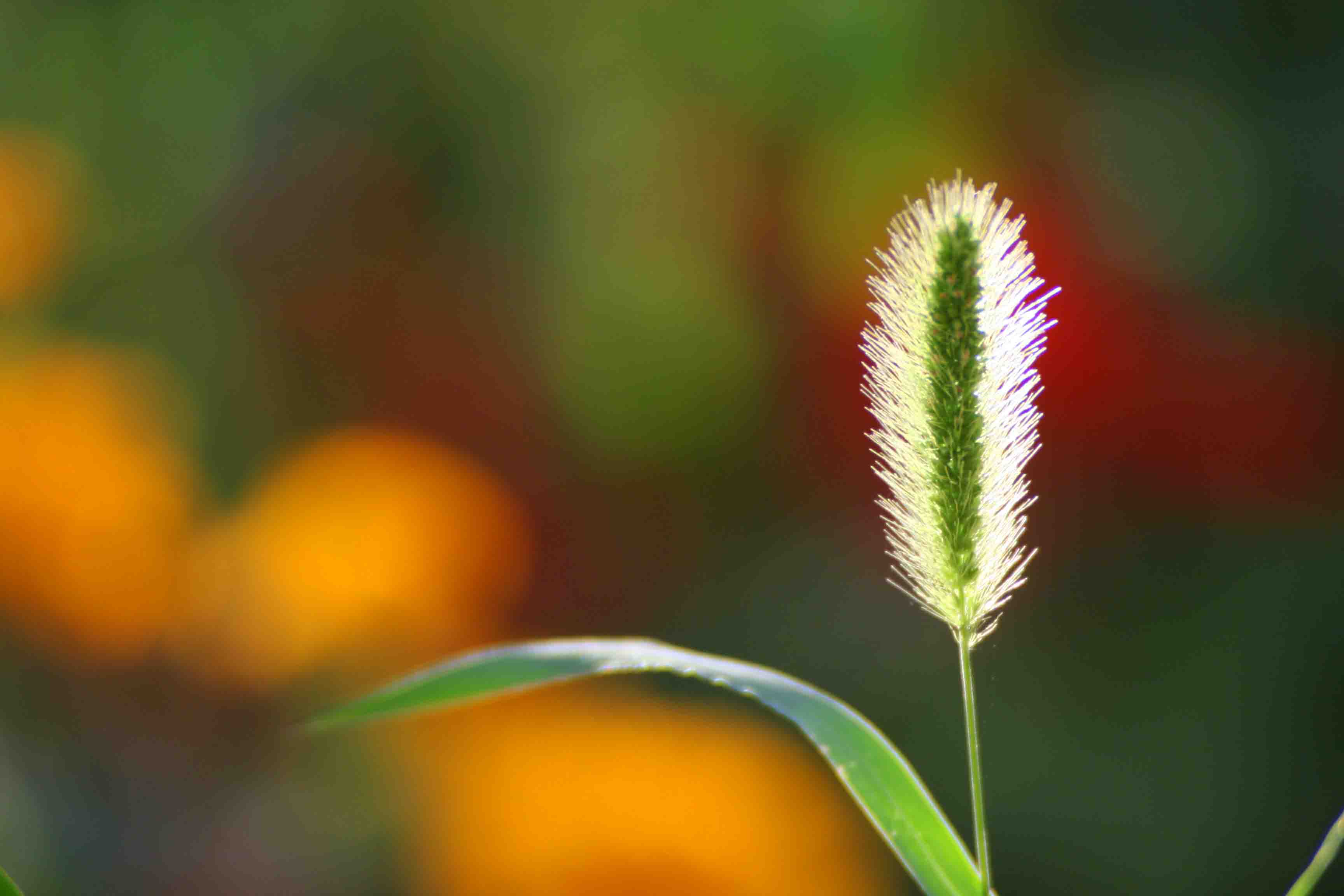 2014.7.7�� 003 (47).jpg