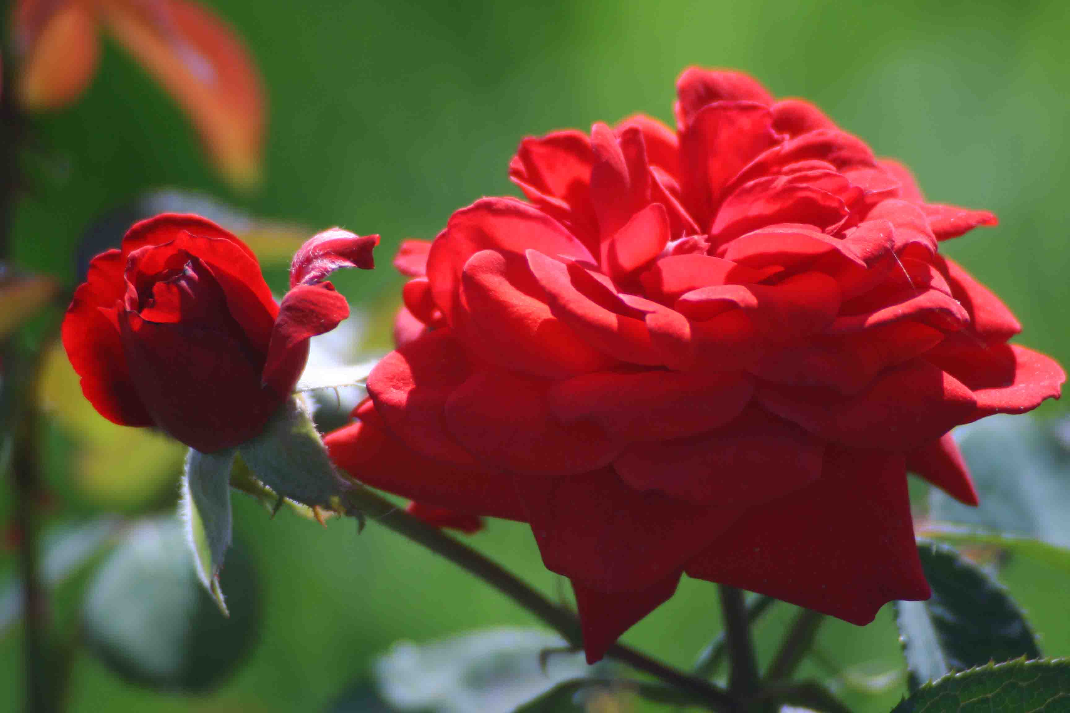 2014.7.7�� 003 (63).jpg