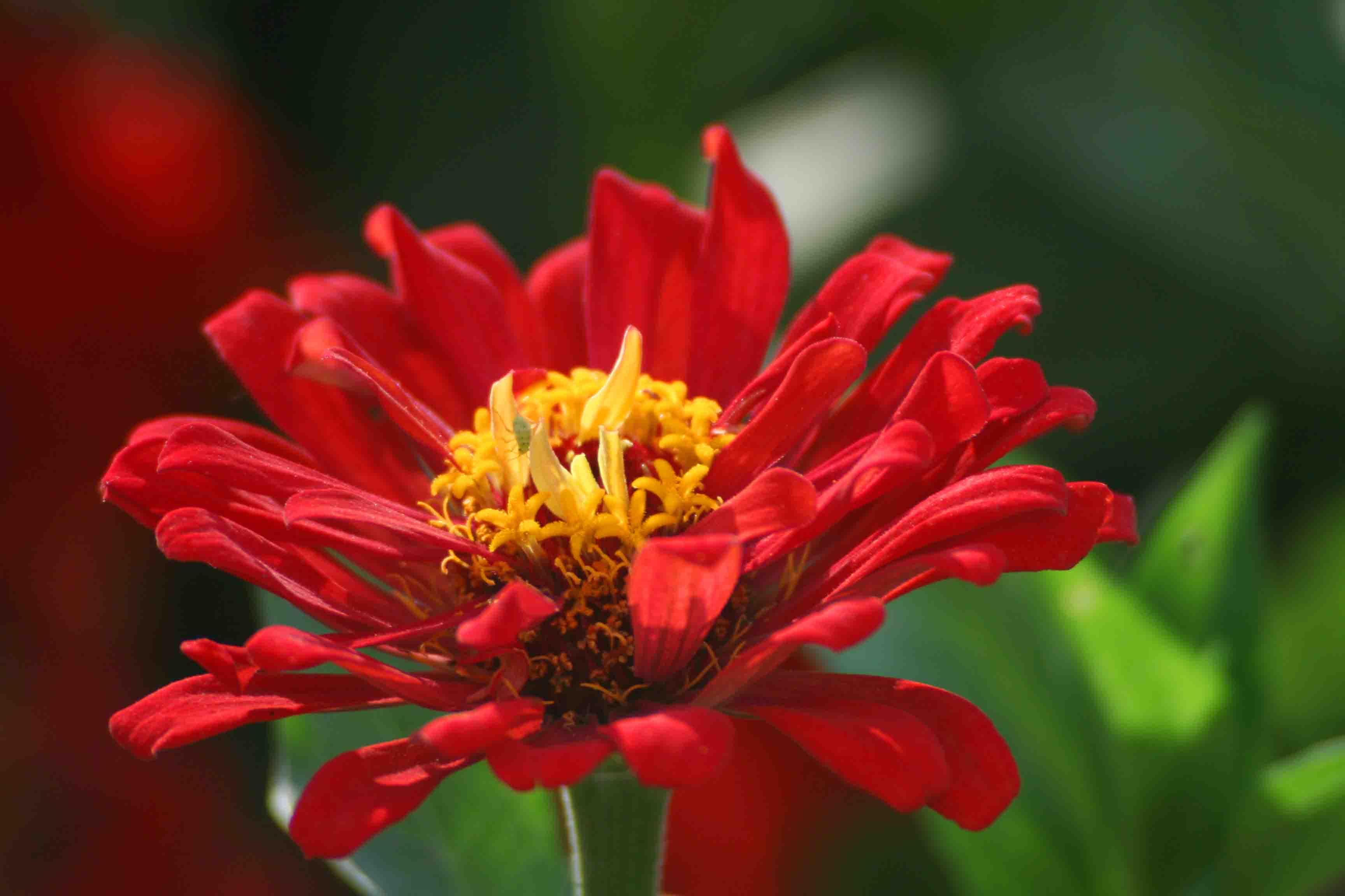 2014.7.7�� 003 (41).jpg