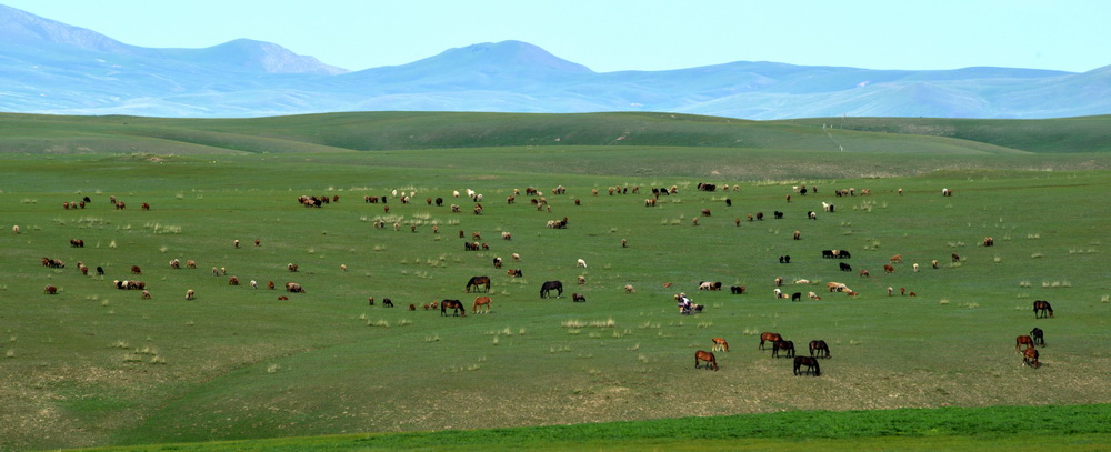 ����    ������