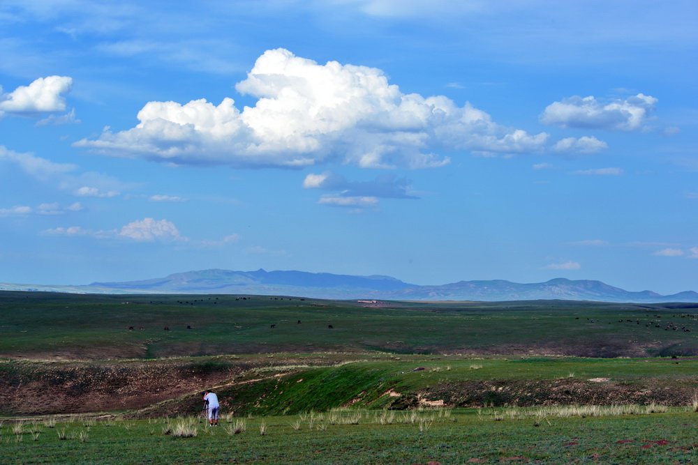 ����     ������