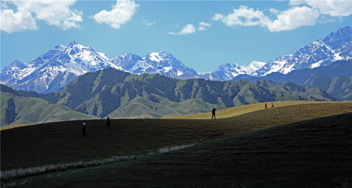 ѩɽ���� (2).jpg