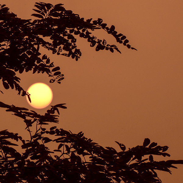 2014��7��30����Ƭ a01112.jpg