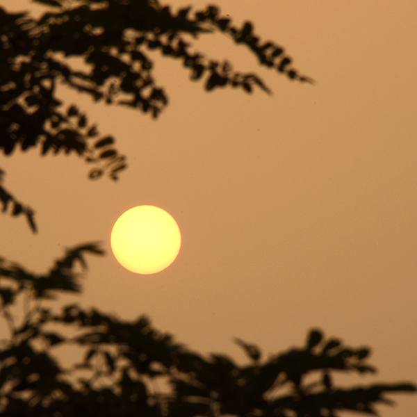 2014��7��30����Ƭ a00412.jpg