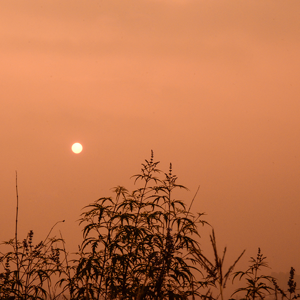 2014��7��30����Ƭ a01212.jpg