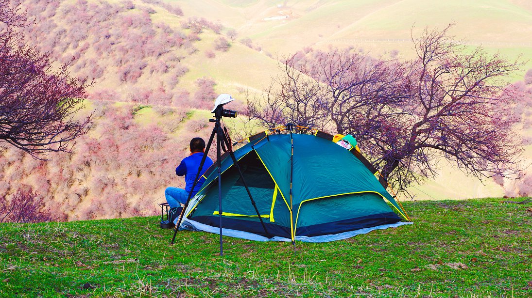 ���ӻ���������