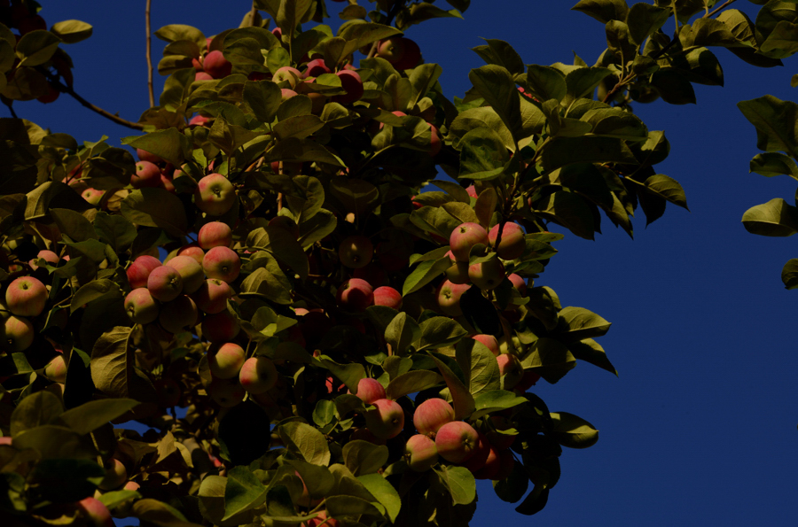 ƻ�����˵�ʱ��