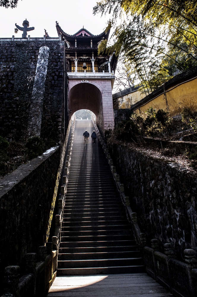 �Ż�ɽ������