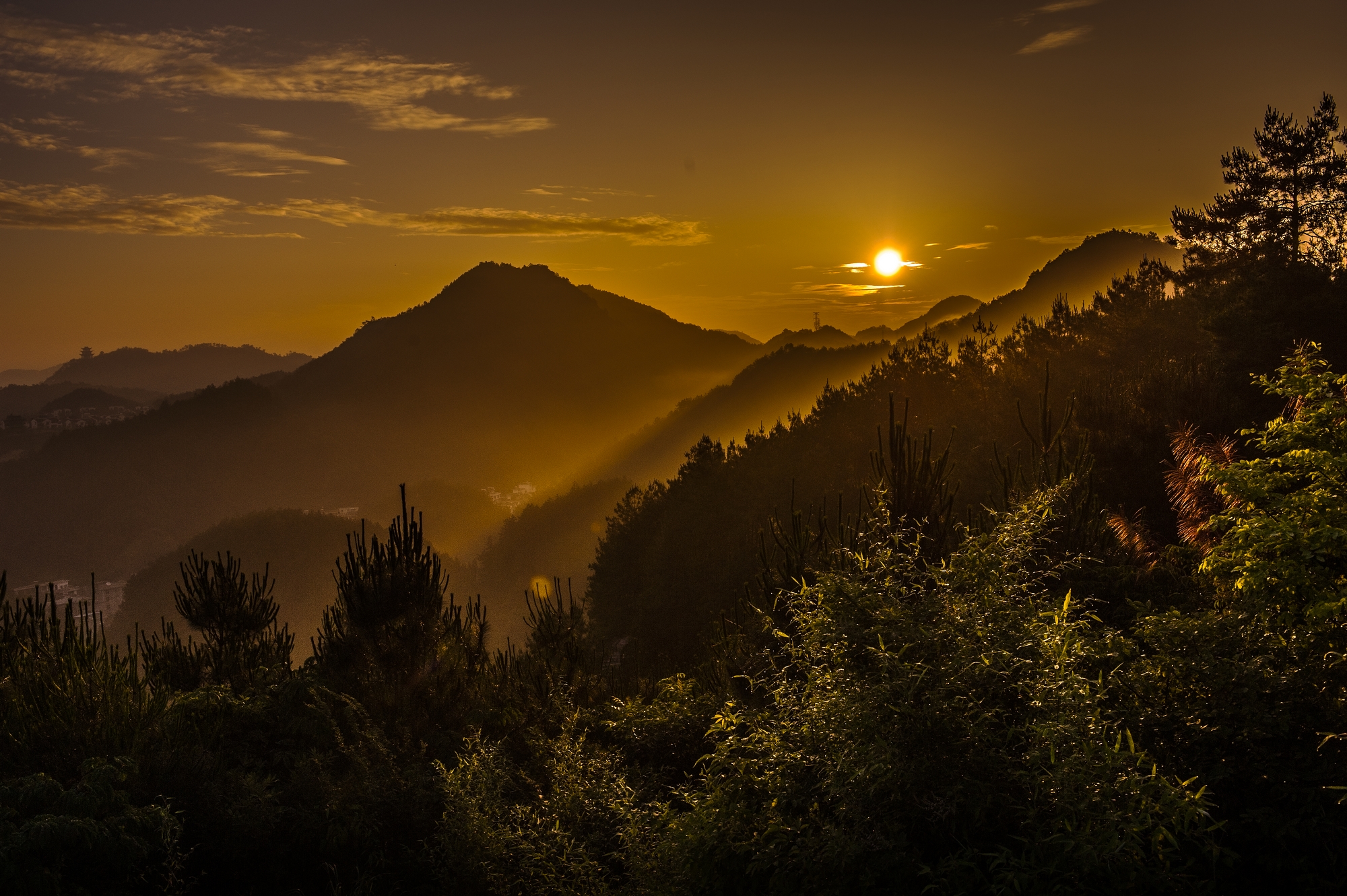 ��Ϫ���糿