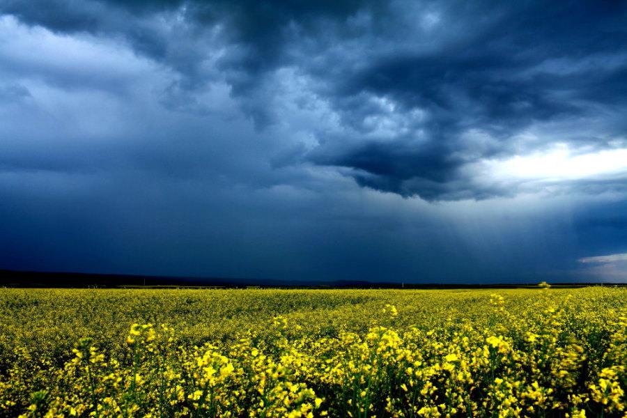 ���տ���