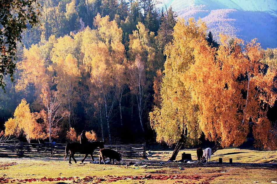 �׹����ﾰ