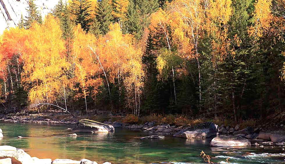 �ɿ��к�֮�ﾰ